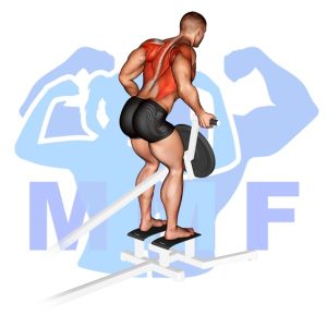 Graphic image of T Bar Reverse Grip Row.