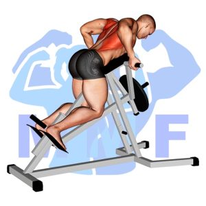 Graphic image of T Bar Supported Reverse Grip Row.