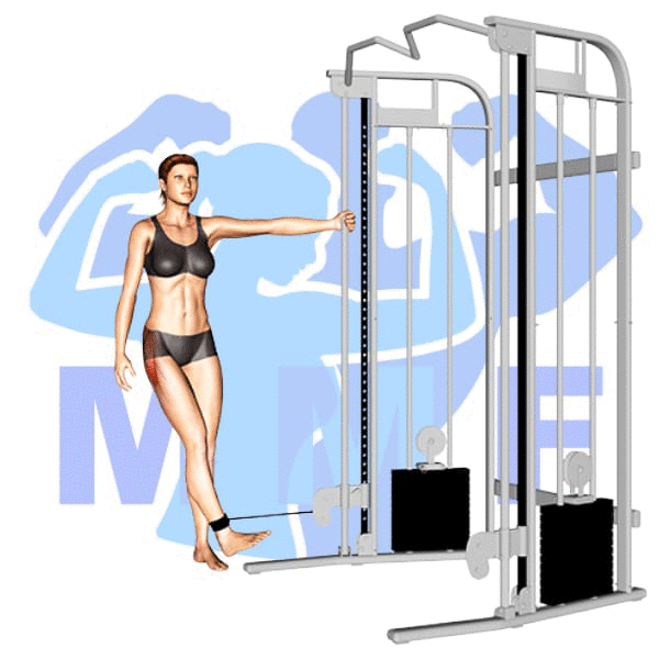 Graphic image of a fit woman performing Toes In Hip Abduction.