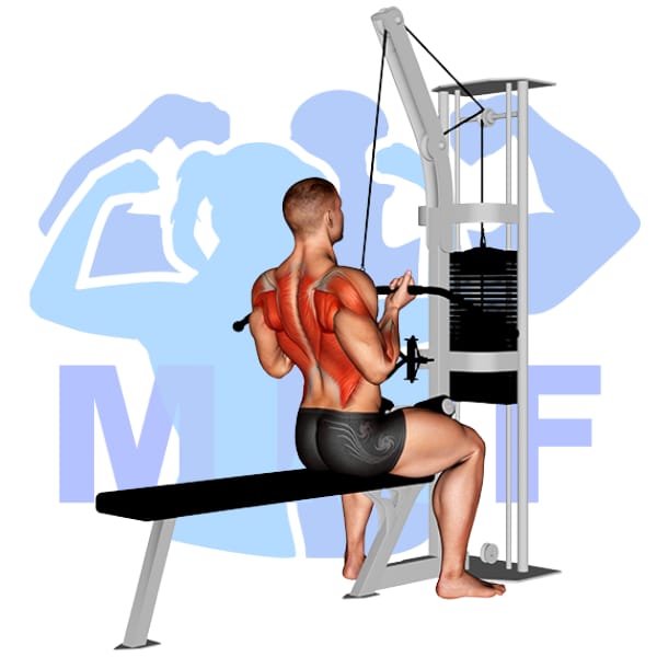 Graphic image of a muscular man performing Underhand Lat Pulldown.