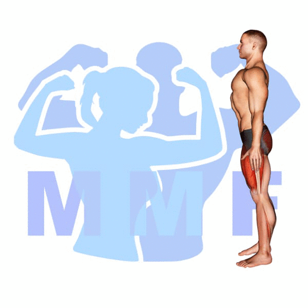 Graphic image of a muscular man performing Walking Lunge.