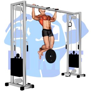 Graphic image of Weighted Pull Up.
