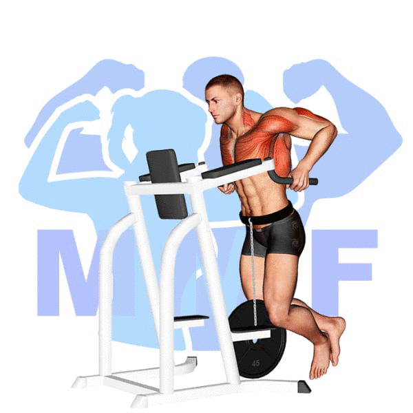 Graphic image of a fit man performing weighted tricep dips exercise.