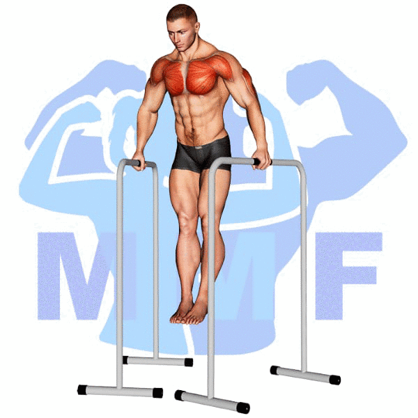 Graphic image of a muscular man performing Wide Grip Chest Dip.