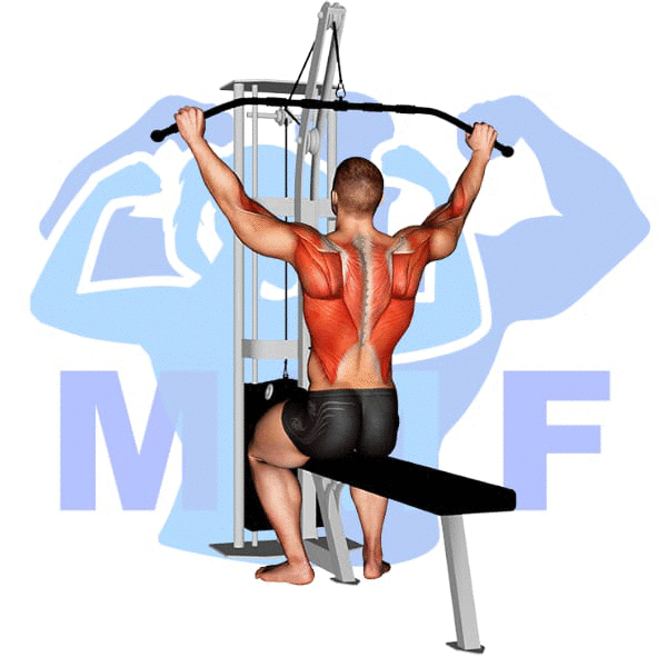 Graphic image of a muscular man performing Wide Grip Lat Pulldown.