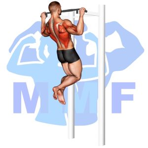 Graphic image of Wide Grip Pull Up.