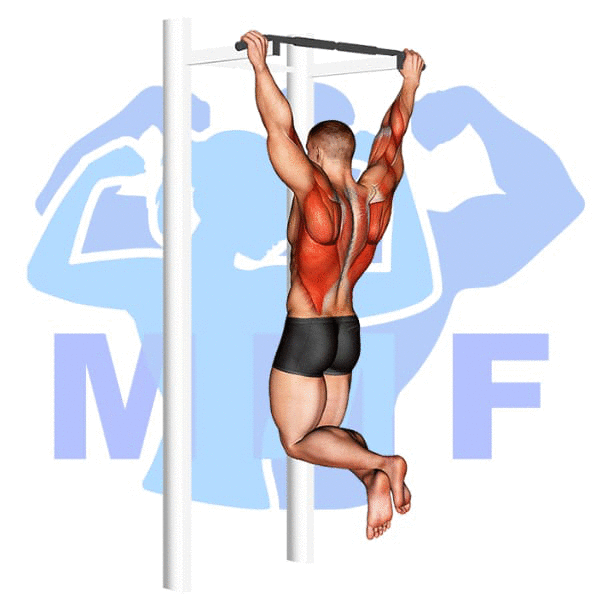 Graphic image of a muscular man performing Wide Grip Pull Up.