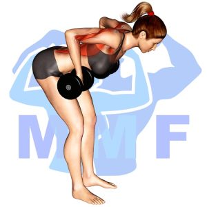 Graphic image of Bent Over Dumbbell Row.