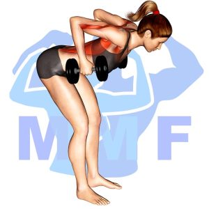 Graphic image of Bent Over Rotating Dumbbell Row.