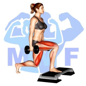 Graphic image of Dumbbell Elevated Split Squat.