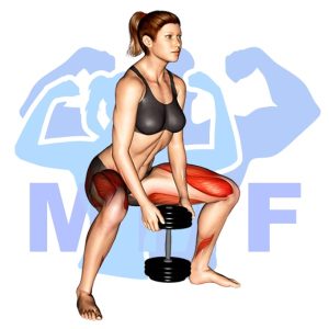 Graphic image of Goblet Sumo Squat.