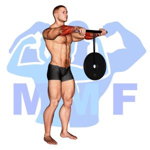 Graphic image of Wrist Roller Forearms.