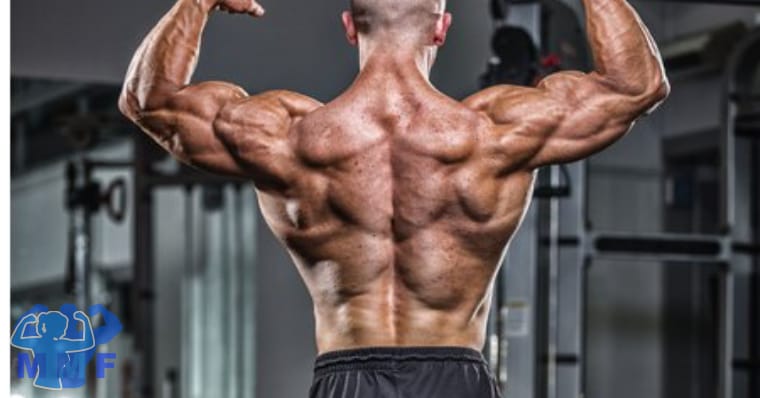 Top Back Exercises Strong Man Flexing Muscular