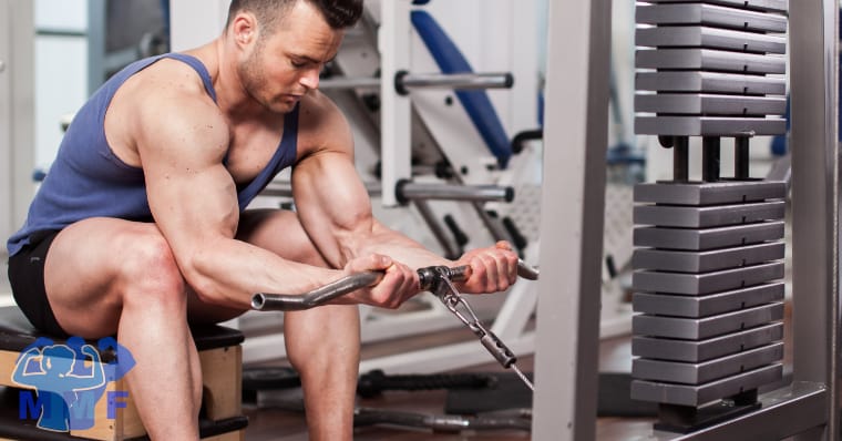 Seated Cable Concentration Curls