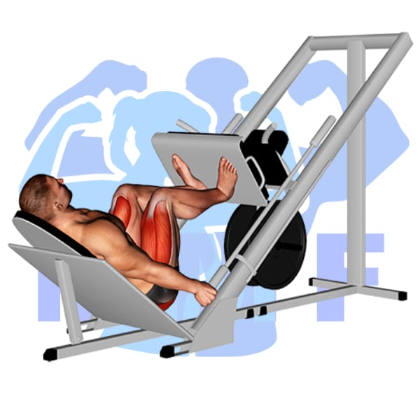 23 Machine Legs Exercises for Men An Easy Fitness Guide