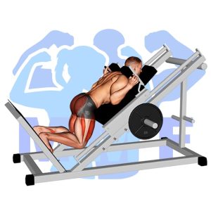 Graphic image of Sled Reverse Hack Squat.