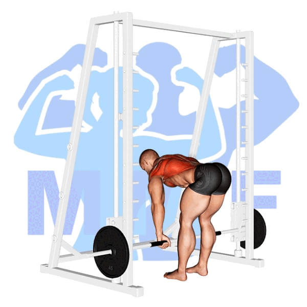 Smith Machine Bent Over Row Your Thorough Guide