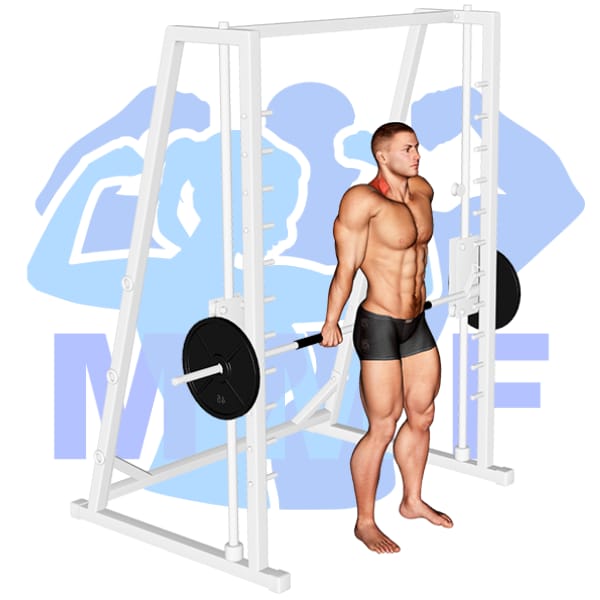 Cable Shrug An Easy Alternative To Dumbbell And Barbell Shrugs