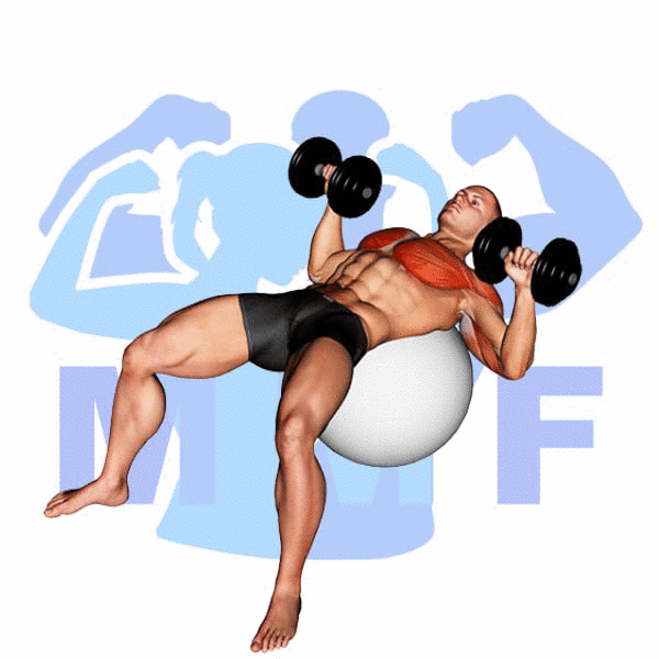 Man Performing Stability Ball Dumbbell Chest Press