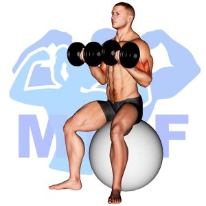 Graphic image of Stability Ball Dumbbell Curl.