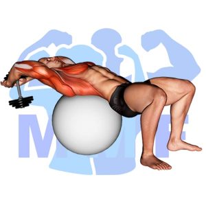 Graphic image of Stability Ball Dumbbell Pullover.