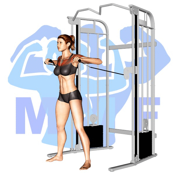 Graphic image of a fit woman performing Standing Cable Chest Press.