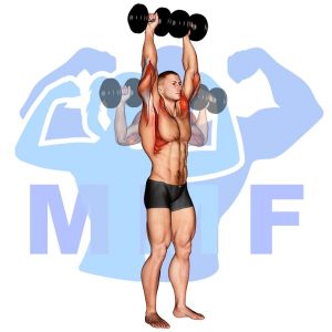Graphic image of Standing Dumbbell Military Press.
