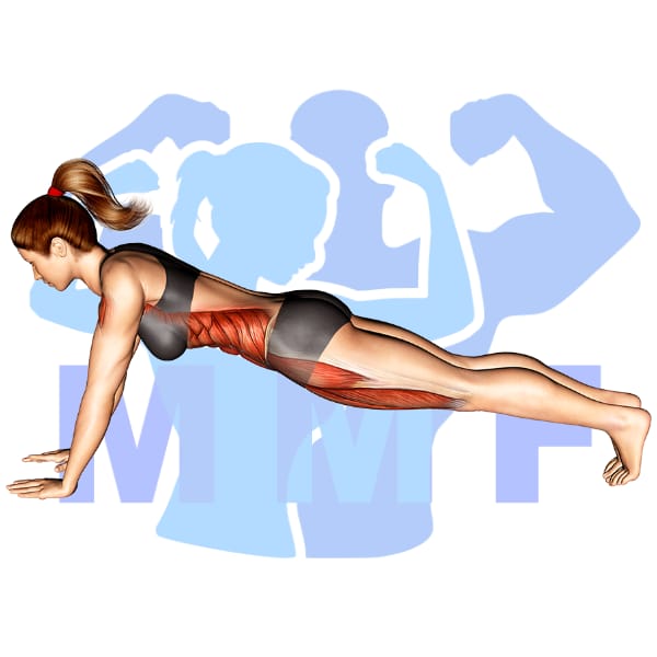 Graphic image of a fit woman performing Straight Arm Bridge.