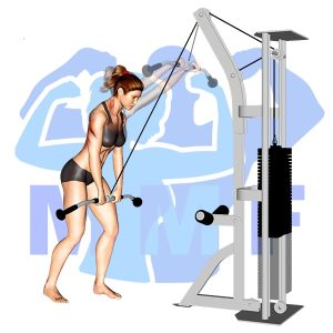 Graphic image of Straight Arm Lat Pulldown.