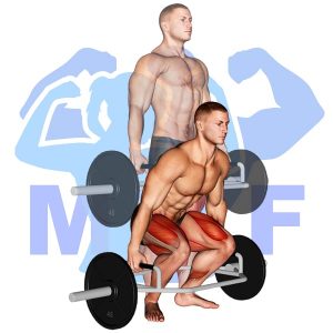 Graphic image of the barbell back exercise the Trap Bar Deadlift.