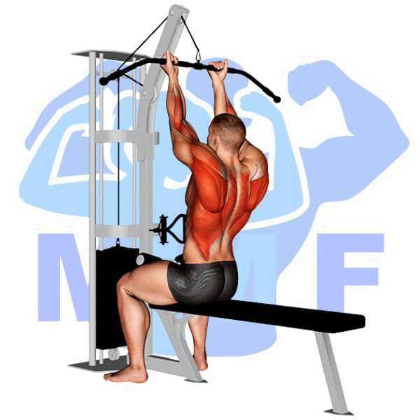 Graphic image of a muscular man performing Underhand Lat Pulldown.