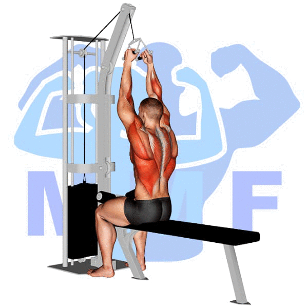 Graphic image of a muscular man performing V Bar Lateral Pulldown.