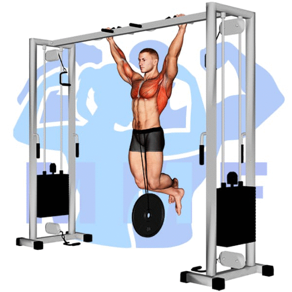 Graphic image of a fit man performing weighted pull up exercise.