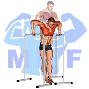 Graphic image of Wide Grip Chest Dip.