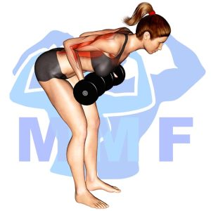Graphic image of Reverse Grip Bent Over Dumbbell Row.
