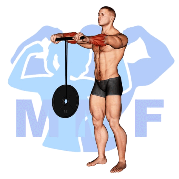 Graphic image of a fit man performing wrist roller exercise.